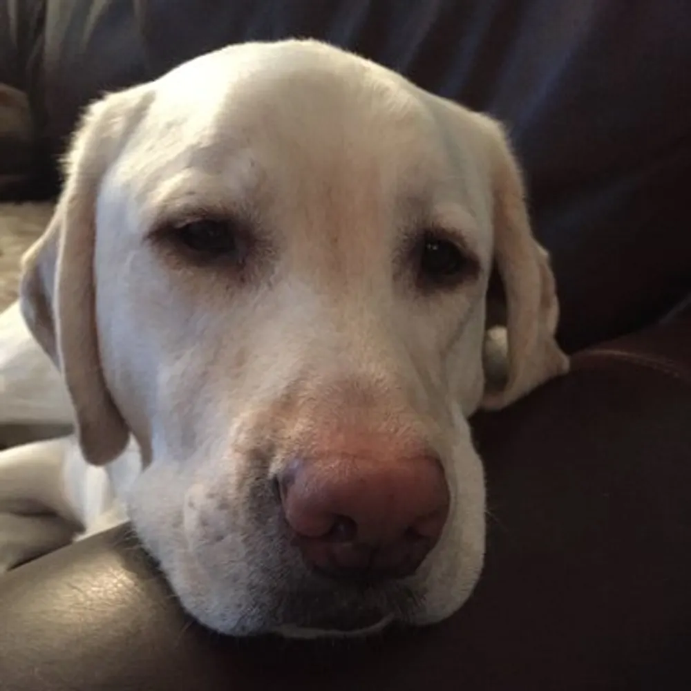 theoafuloffice.bsky.social's profile picture