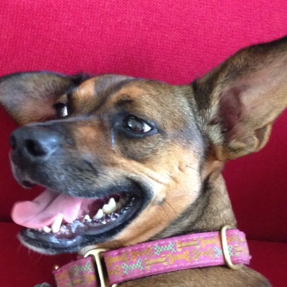 jonpennington.bsky.social's profile picture