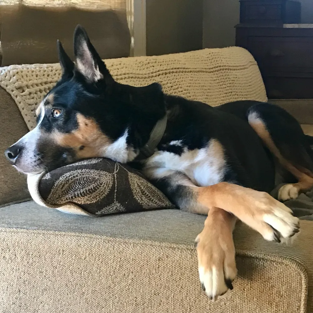 falterj.bsky.social's profile picture