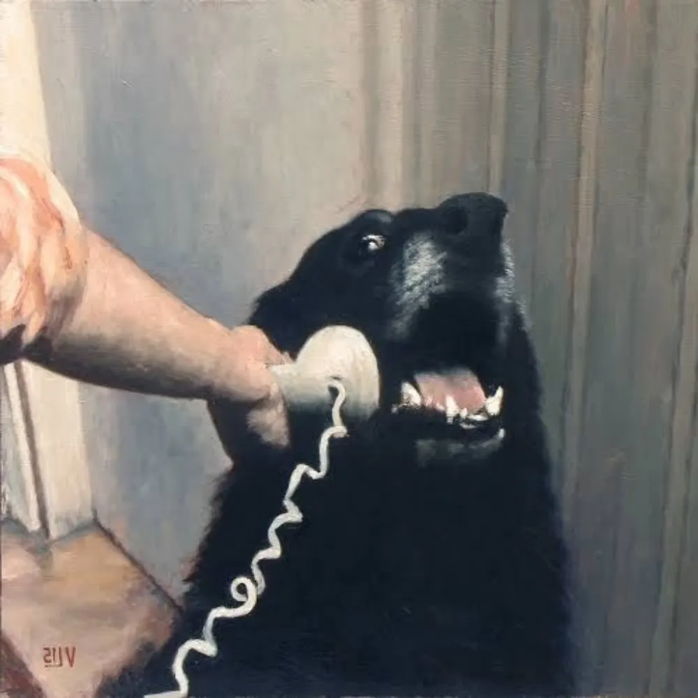 dersuzzalla.bsky.social's profile picture