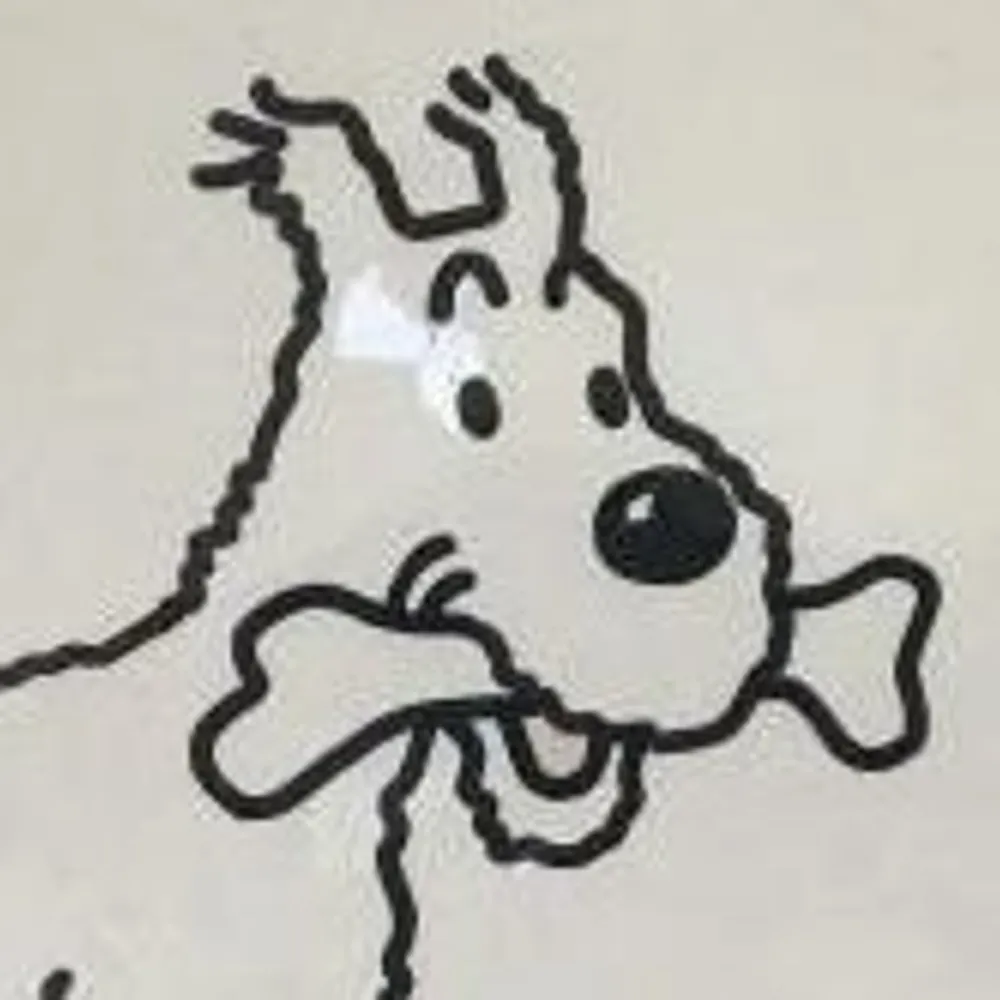 idefix.eurosky.social's profile picture