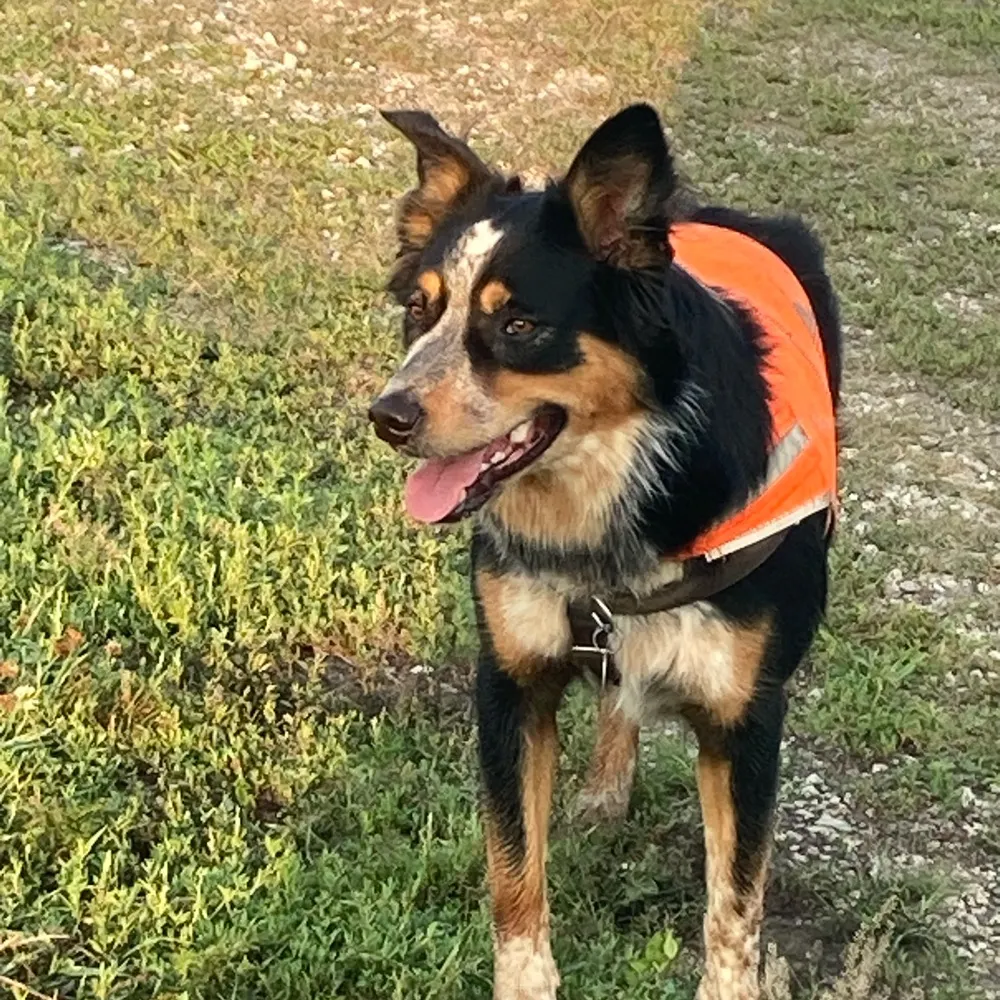 prairiefan.bsky.social's profile picture