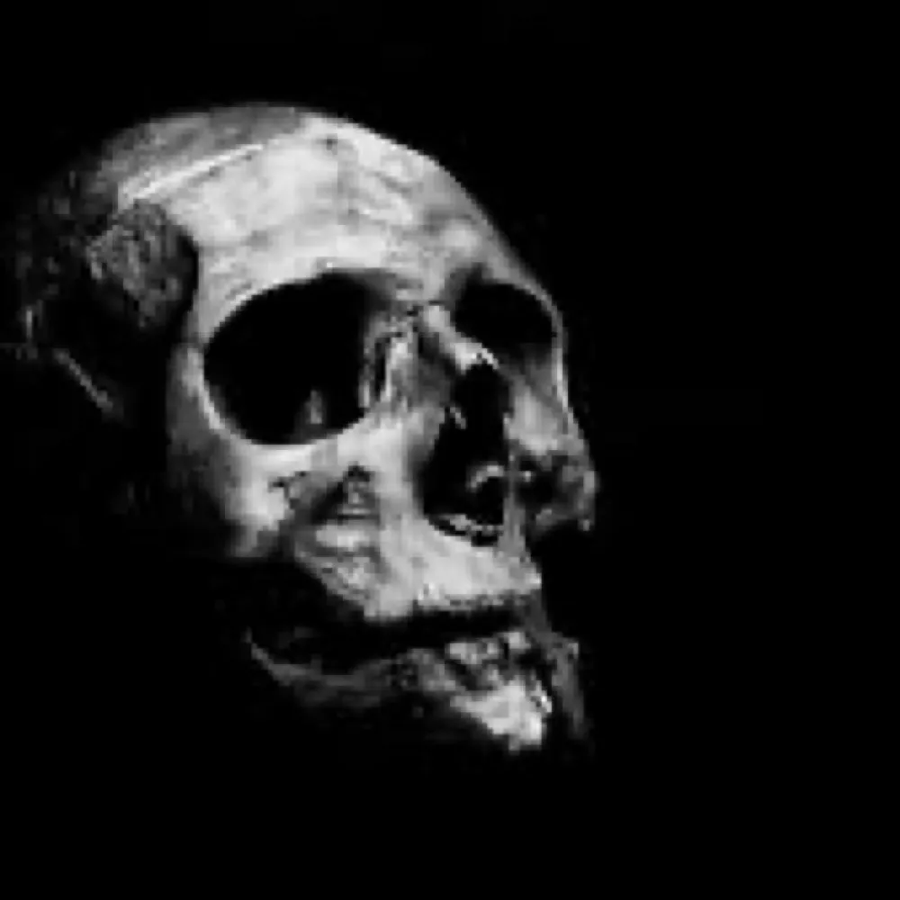 mmacken.bsky.social's profile picture