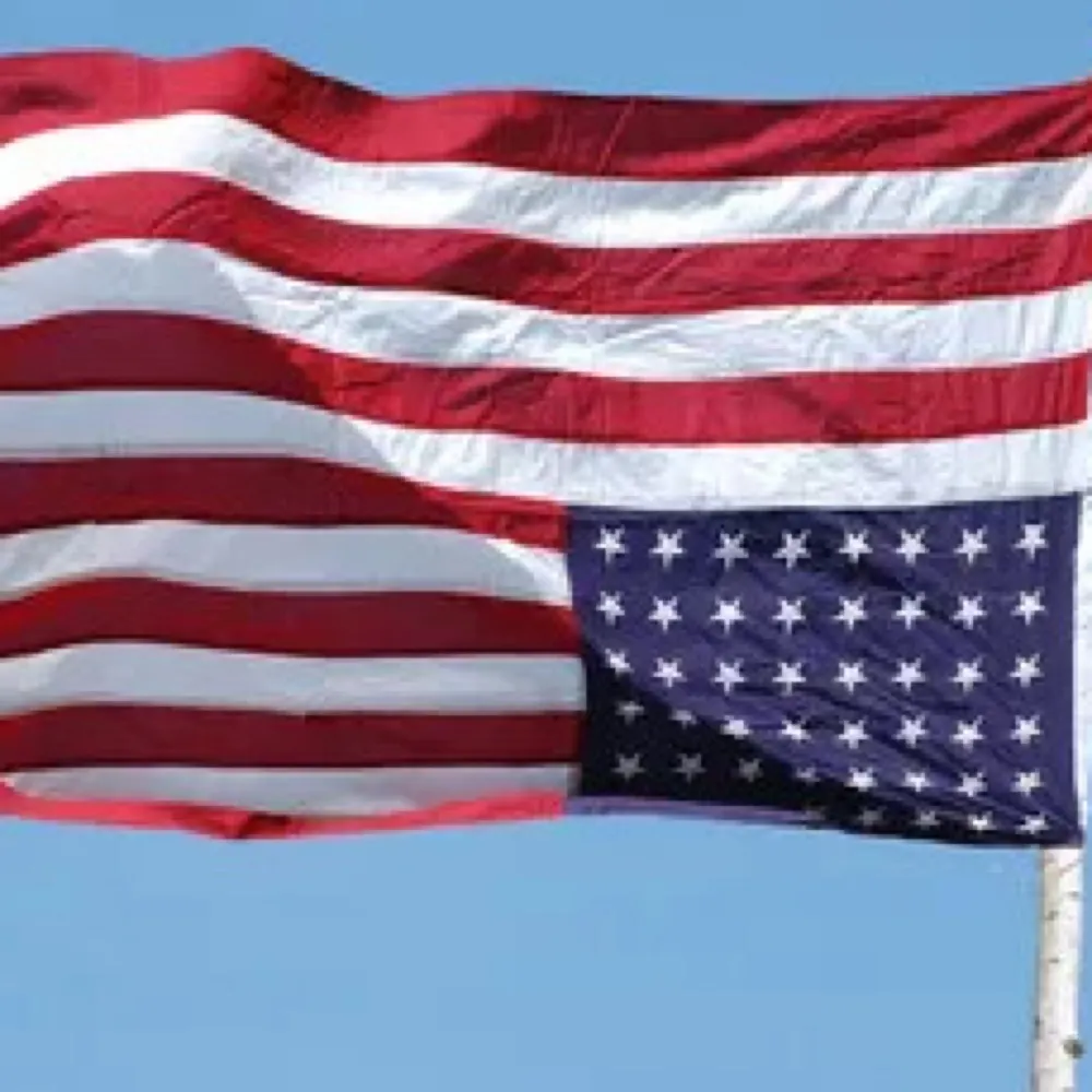 mojobaby.bsky.social's profile picture