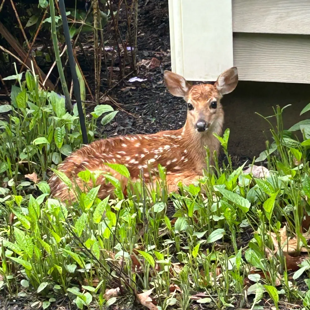 carina-lee.bsky.social's profile picture