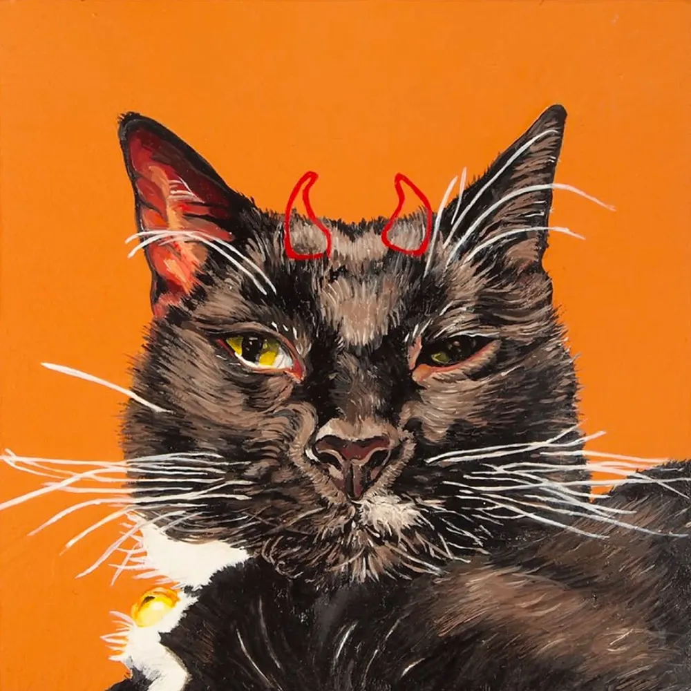 metarefugee.bsky.social's profile picture