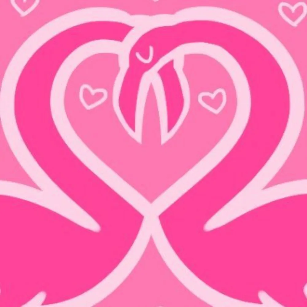 marsredbird.bsky.social's profile picture