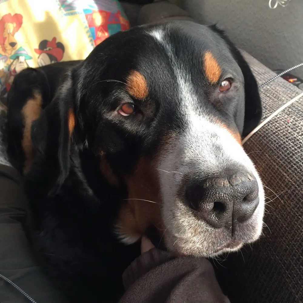 lovesdaryl.bsky.social's profile picture