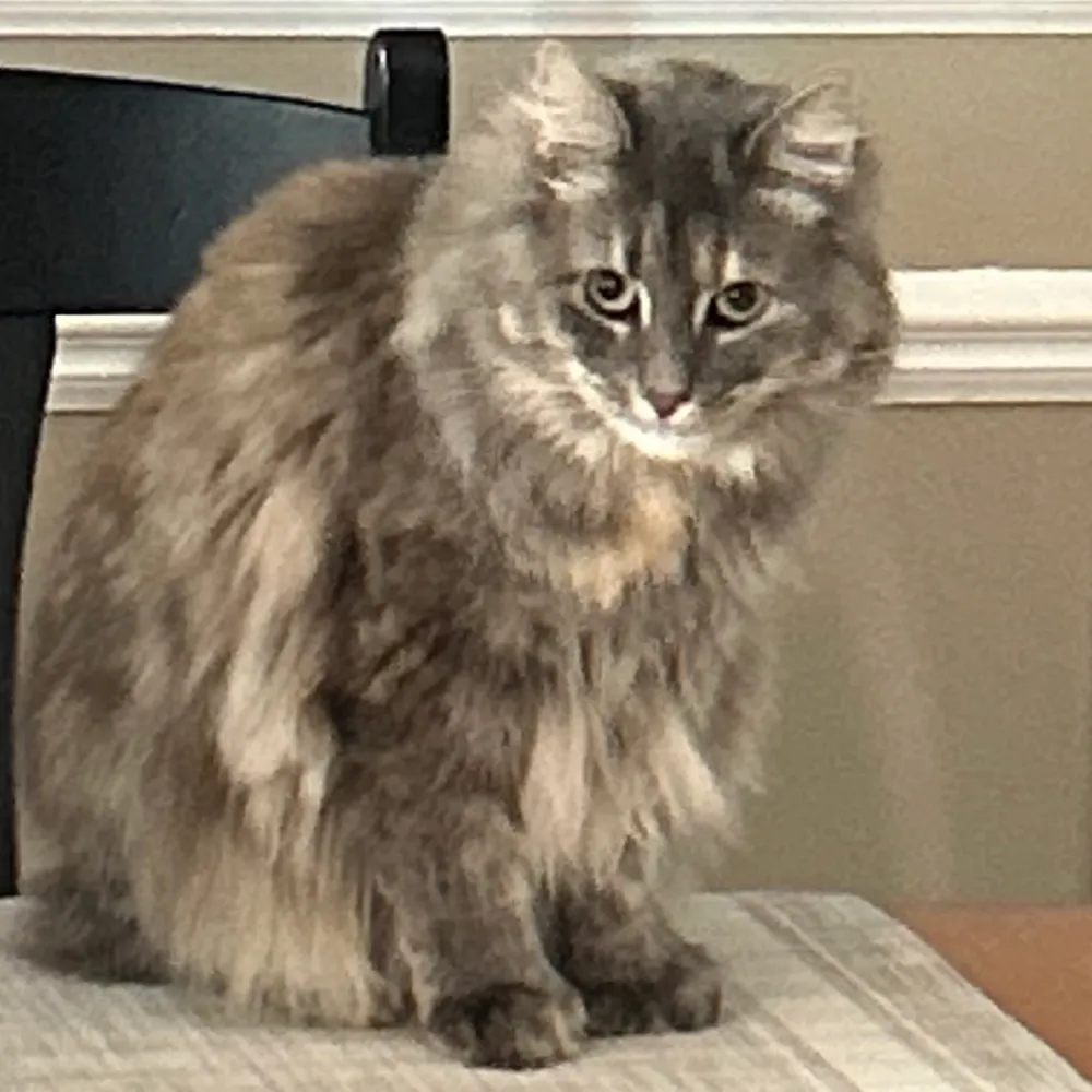 kmm133.bsky.social's profile picture