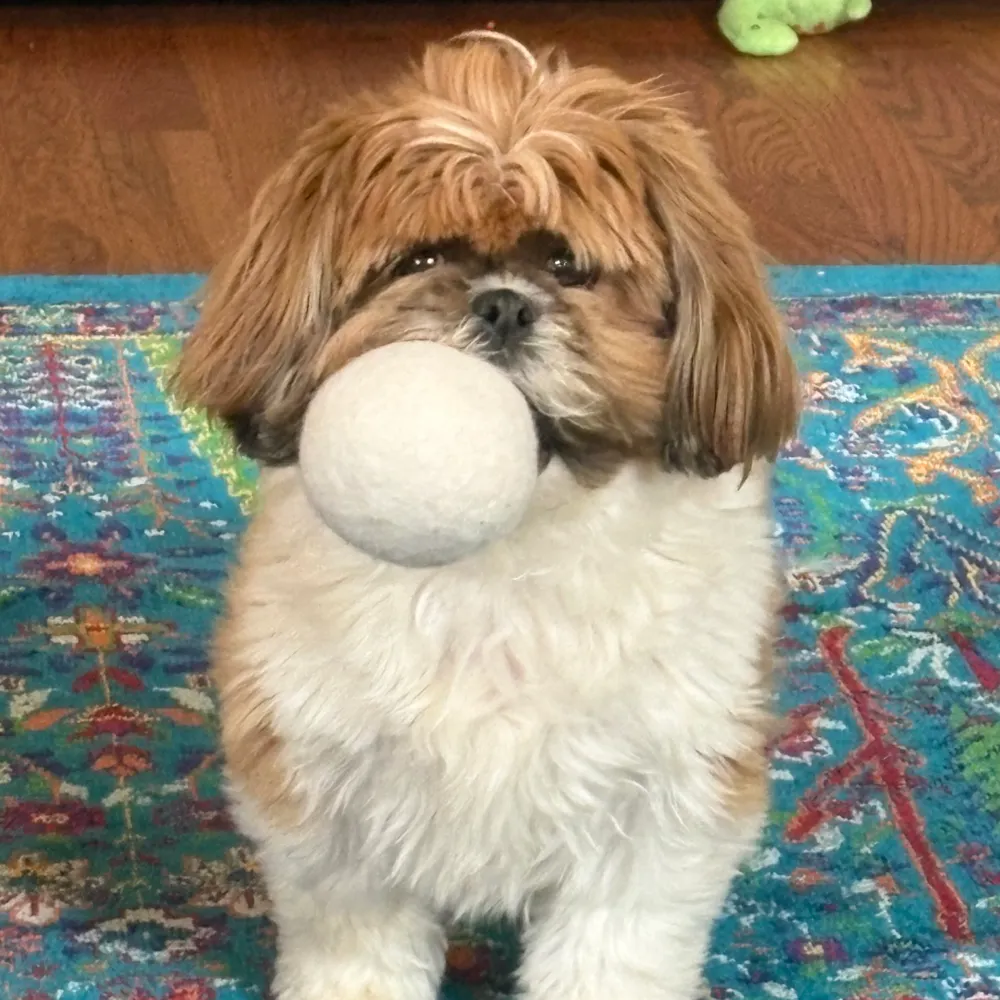 fifilaroach.bsky.social's profile picture