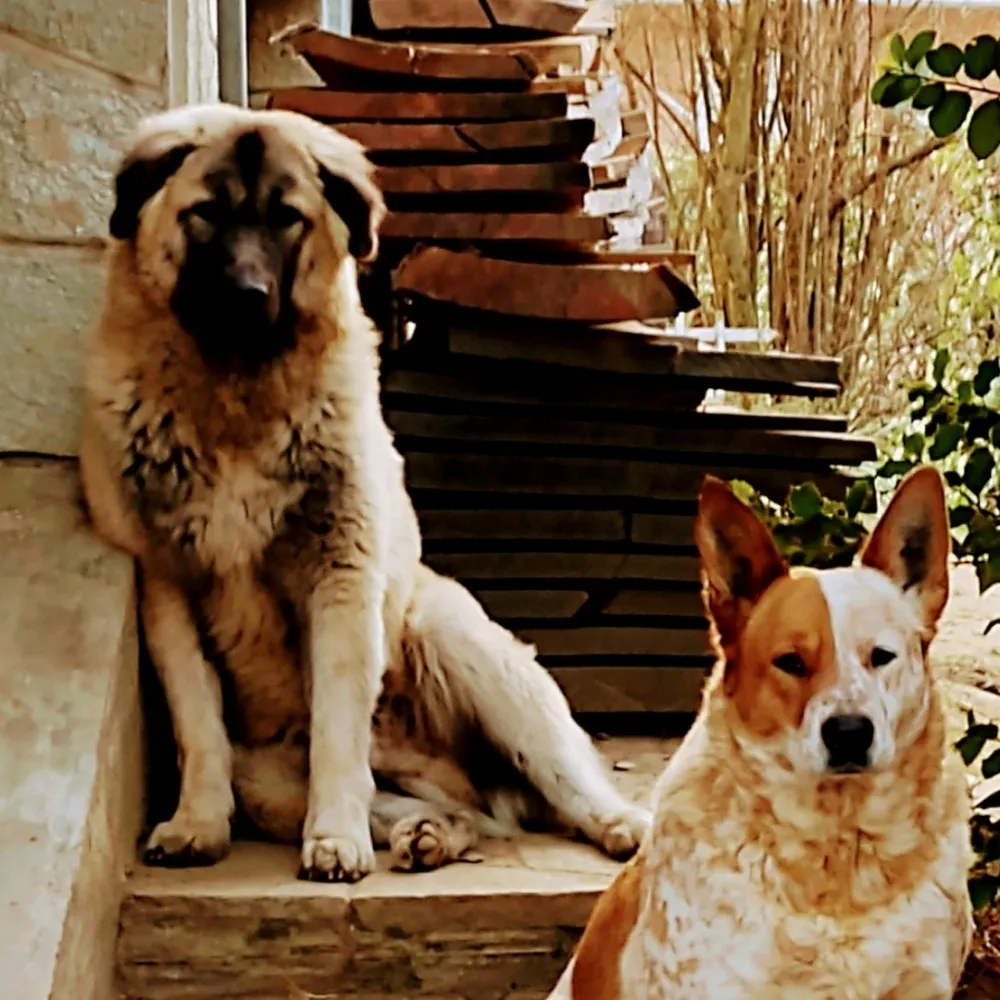 lacanoggi.eurosky.social's profile picture