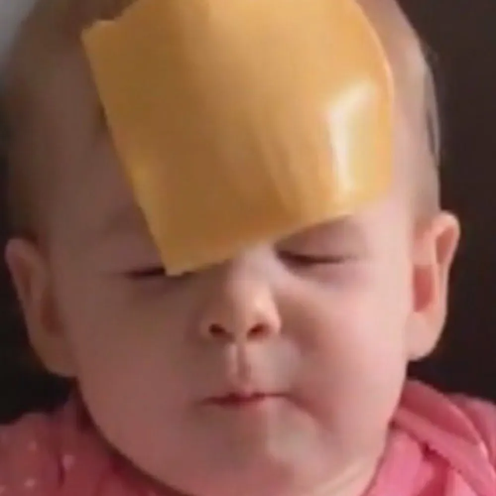 deebat.bsky.social's profile picture