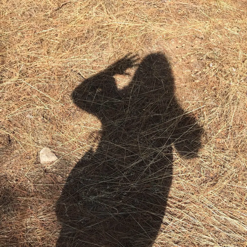 eadeeva.bsky.social's profile picture