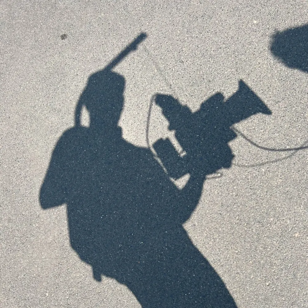 wolfswanst.bsky.social's profile picture