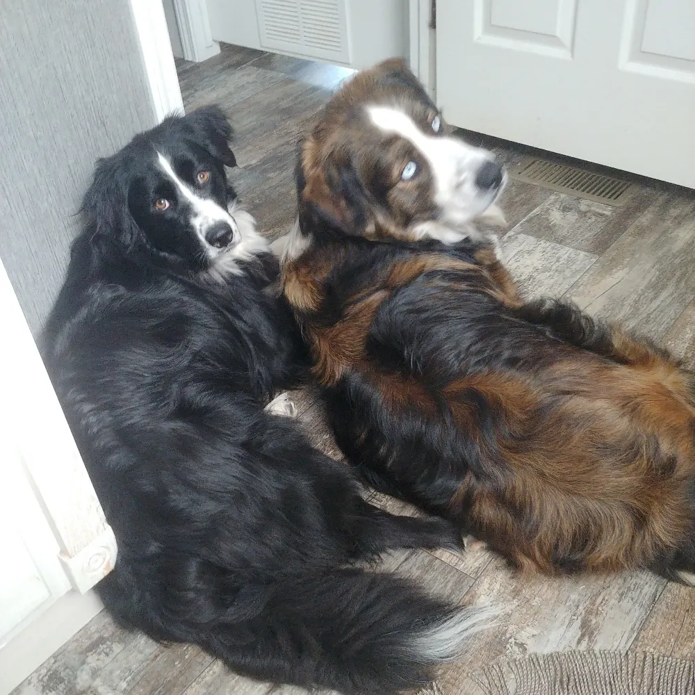 joleneandgrant.bsky.social's profile picture