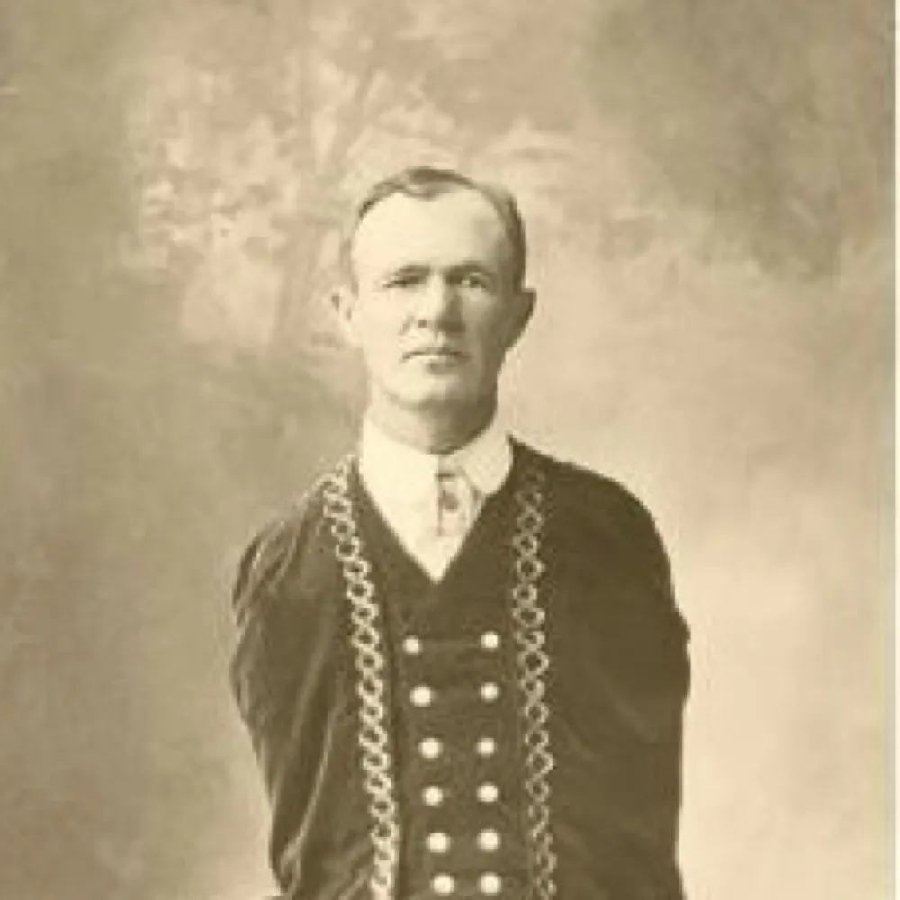 disarmed2theteeth.bsky.social's profile picture