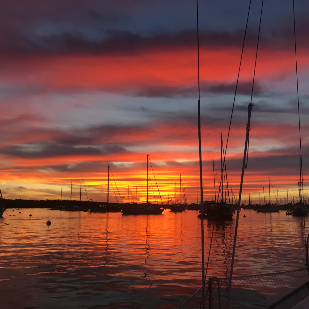 manateefritters.bsky.social's profile picture