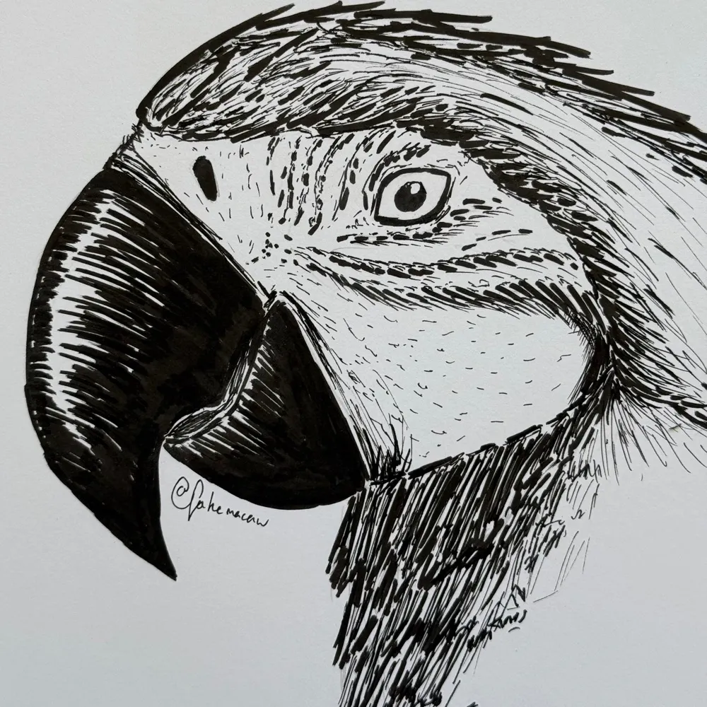 fakemacaw.bsky.social's profile picture