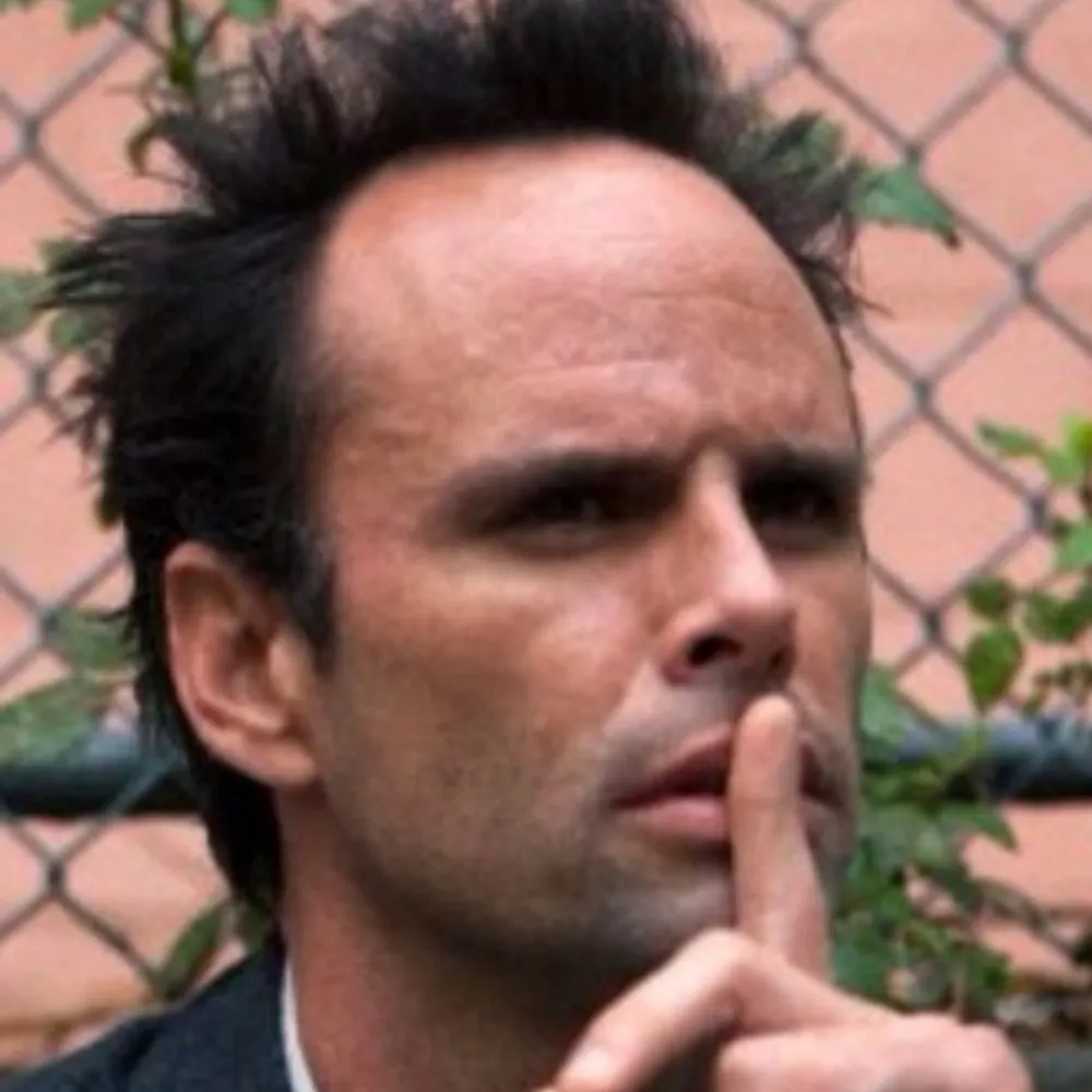 twobitwhackjob.bsky.social's profile picture