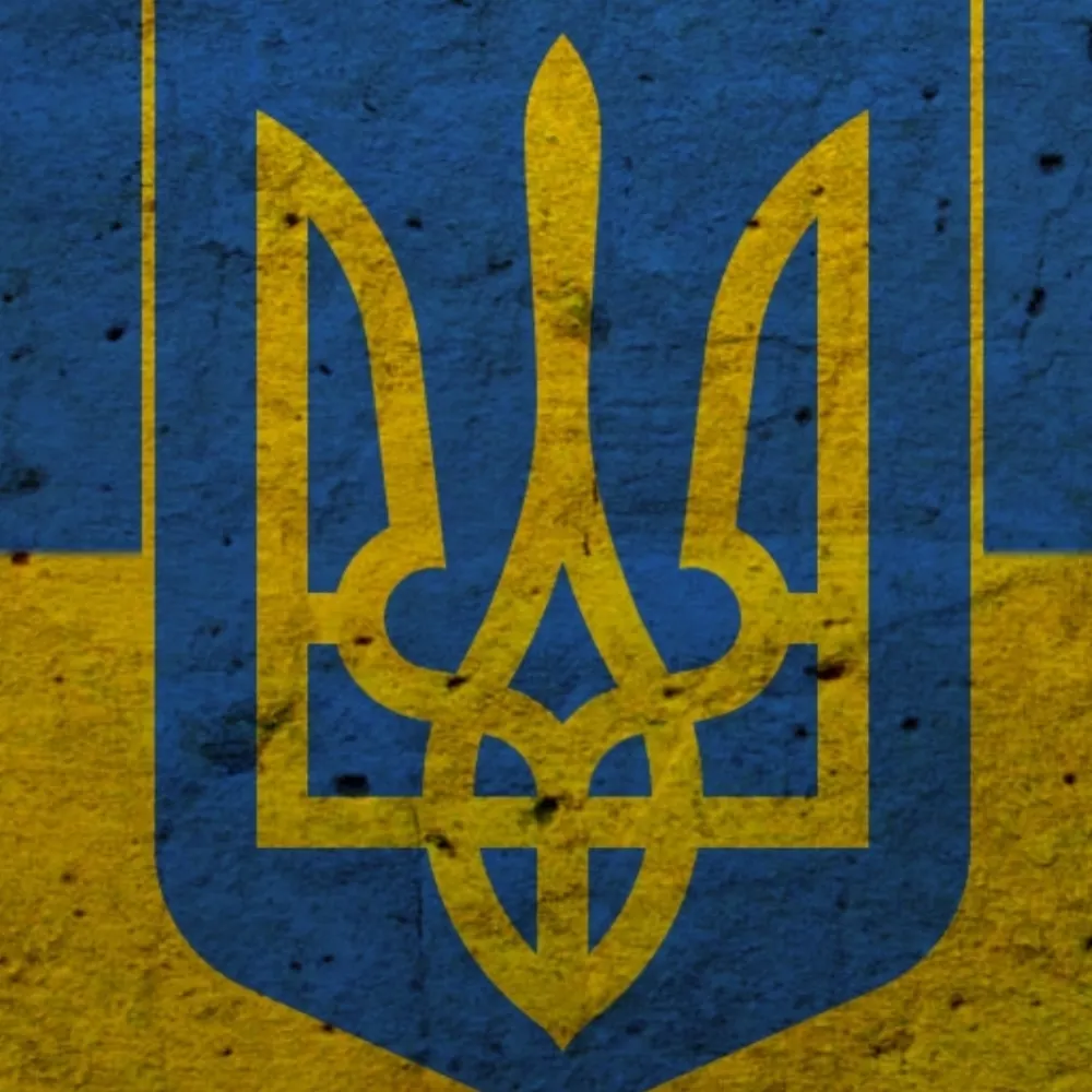 brisers.bsky.social's profile picture