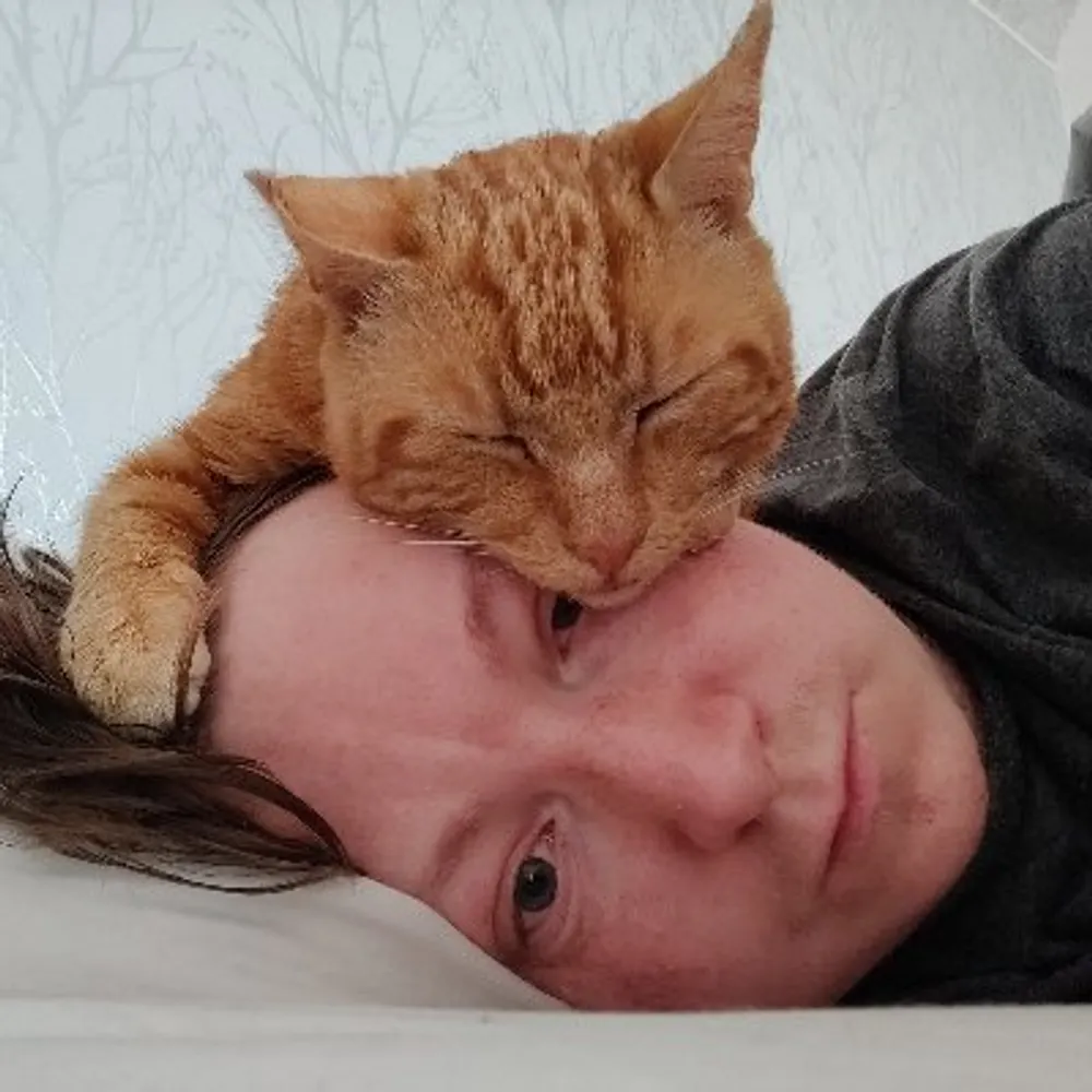 innes.bsky.social's profile picture