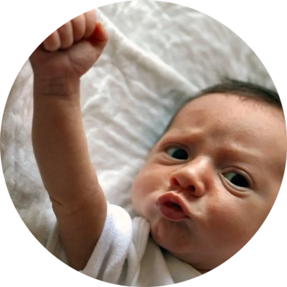 jazzidiot2.bsky.social's profile picture