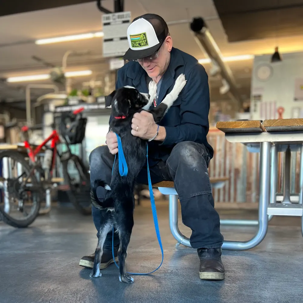 pnwguy70.bsky.social's profile picture