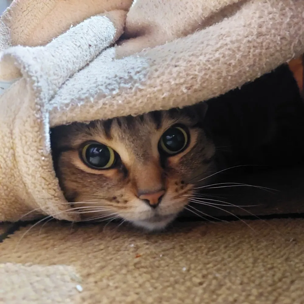 andimn.bsky.social's profile picture