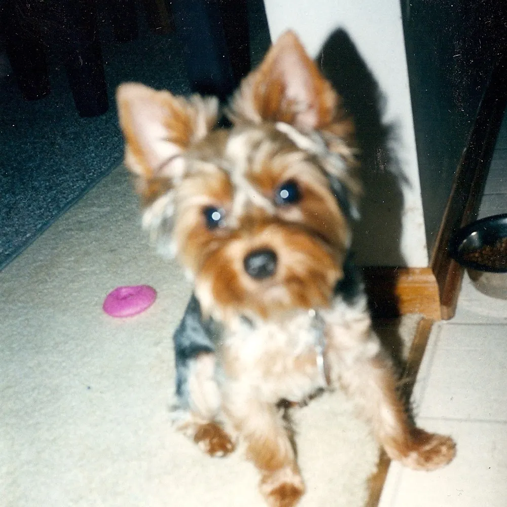 ozahjc.bsky.social's profile picture