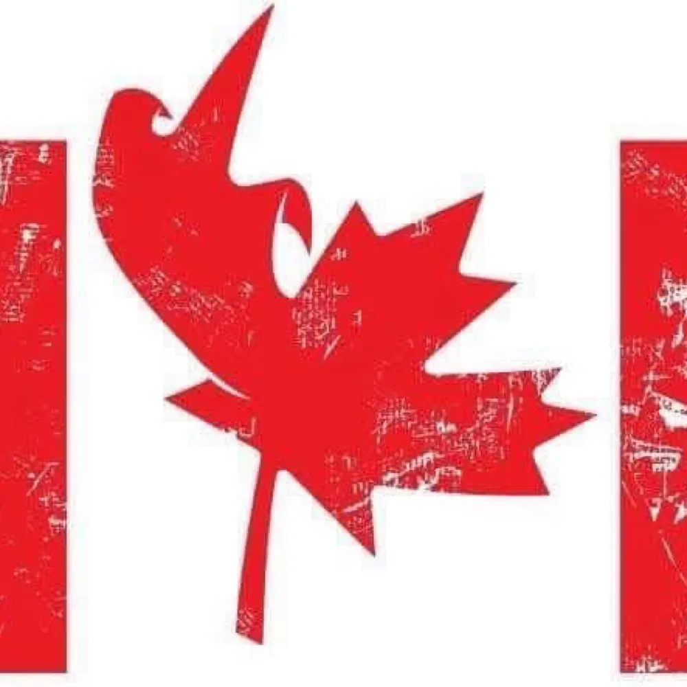 cupcakeyow.bsky.social's profile picture