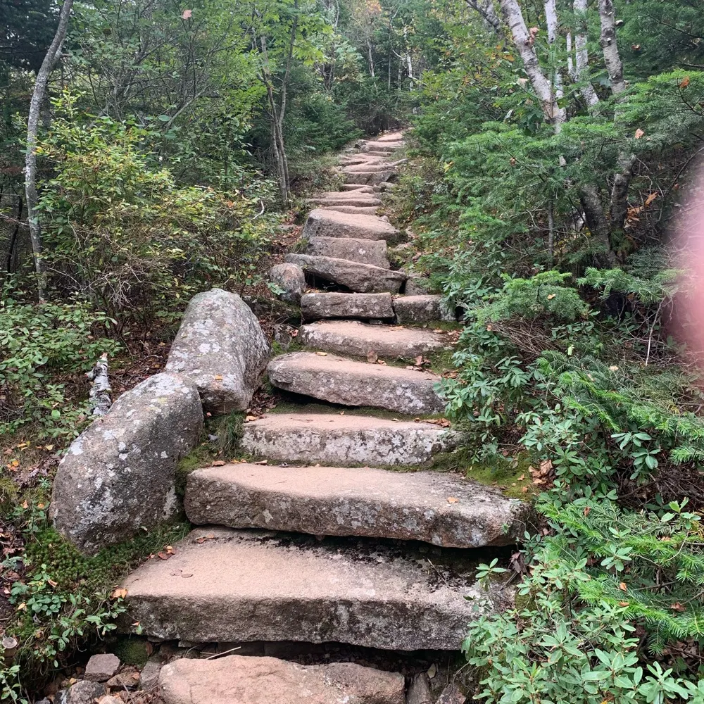 walt88.bsky.social's profile picture