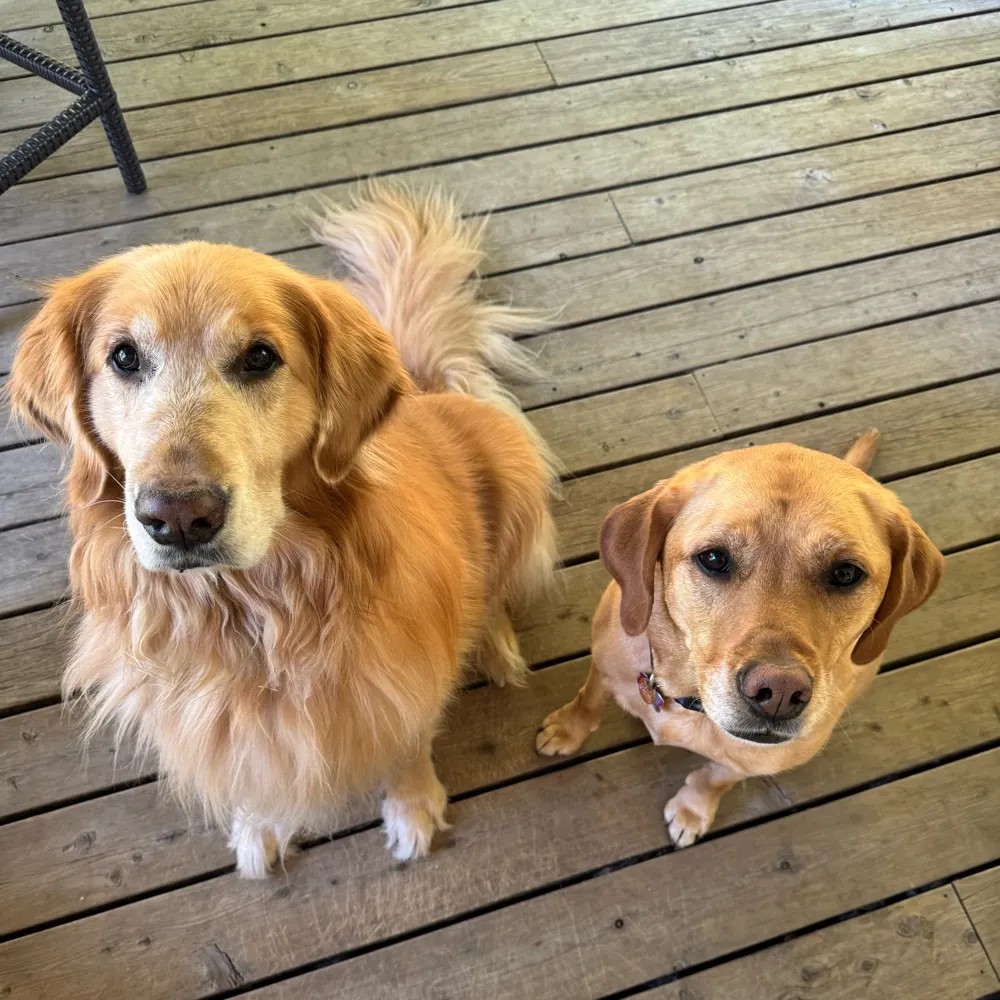 gigharborlola.bsky.social's profile picture