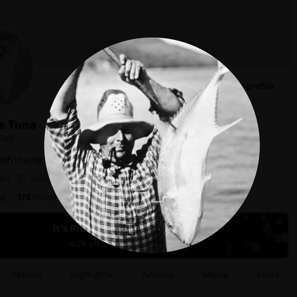 albatunafish.bsky.social's profile picture