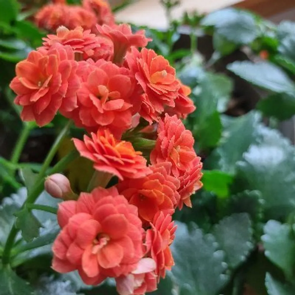 repetitiveuser.bsky.social's profile picture