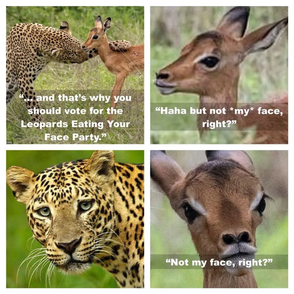 goldstar971.bsky.social's profile picture