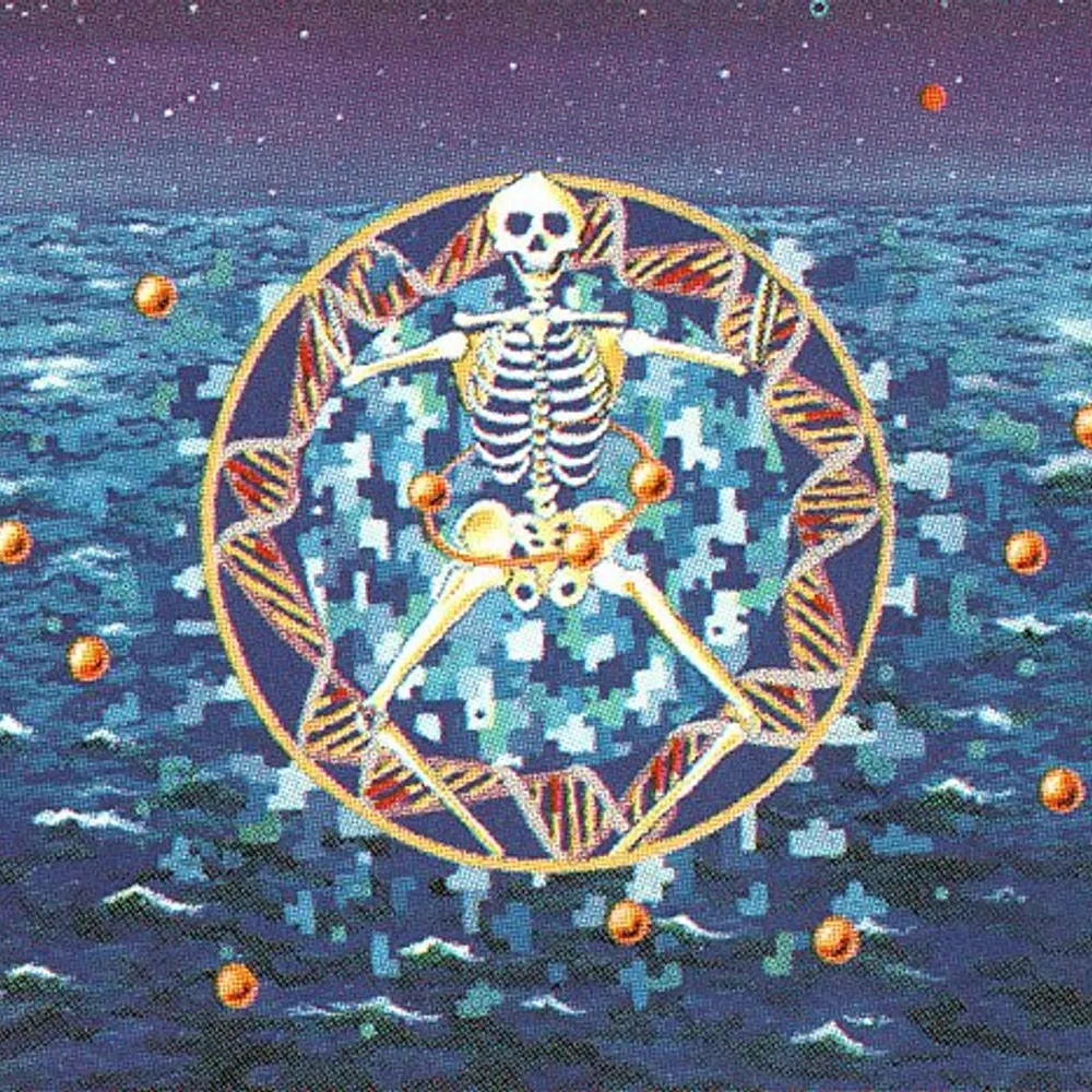 9k.vc's profile picture