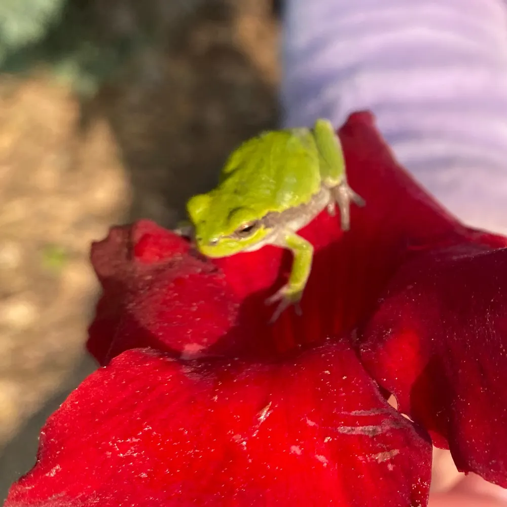 yoyoyoyo.bsky.social's profile picture