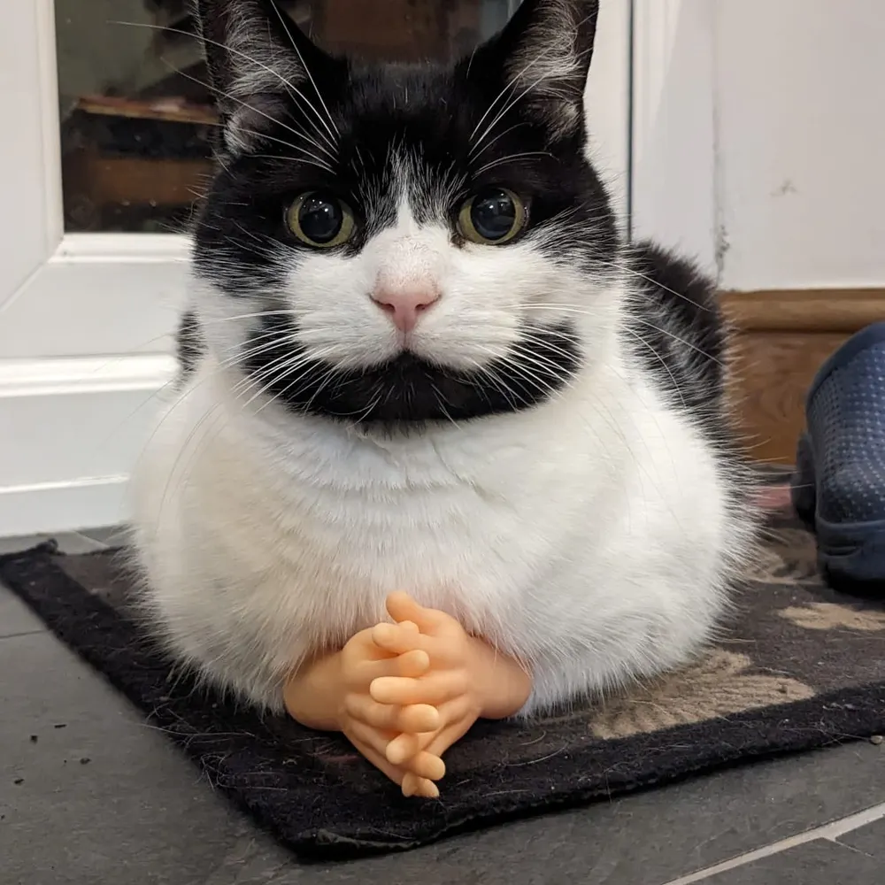 imissnormal.bsky.social's profile picture