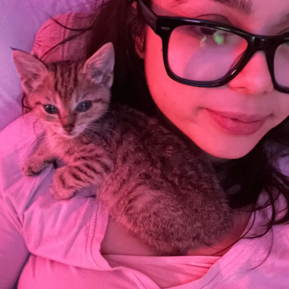 browngrass.bsky.social's profile picture