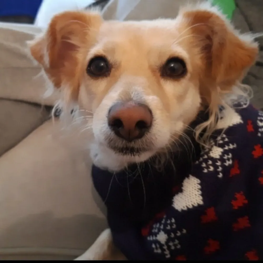 producrgrl.bsky.social's profile picture