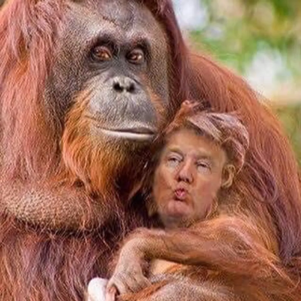 silveradie-art.bsky.social's profile picture