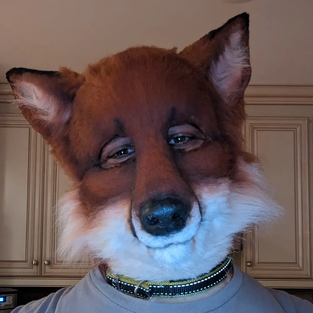 kettufox.bsky.social's profile picture