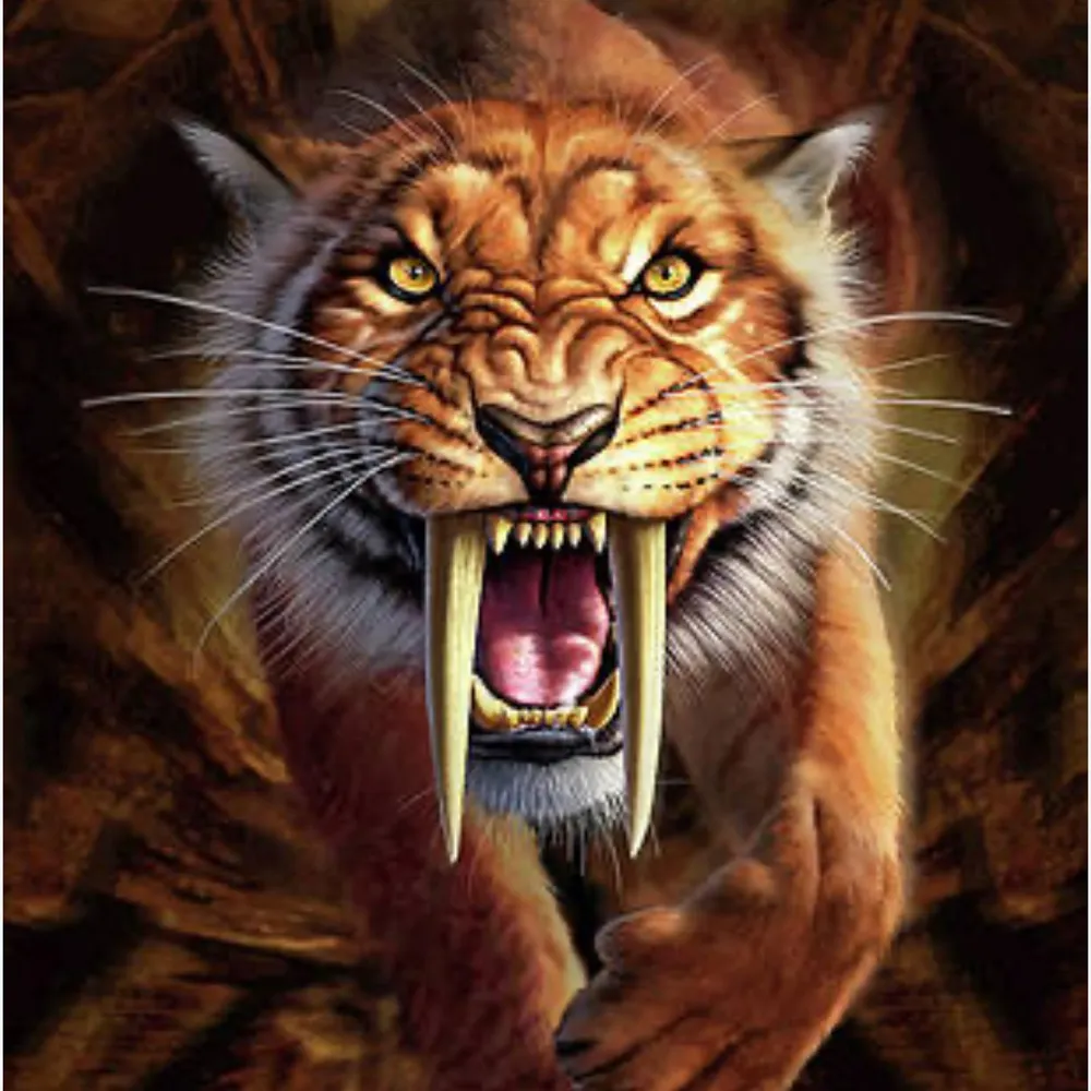 dhawkty.bsky.social's profile picture