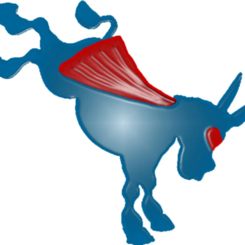 capedja.bsky.social's profile picture