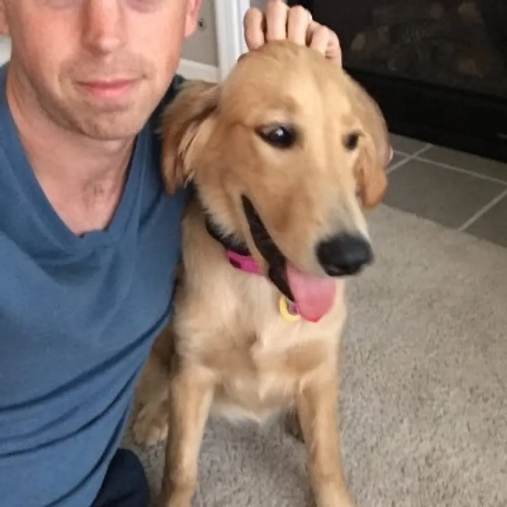 jeffwantpoppers.bsky.social's profile picture