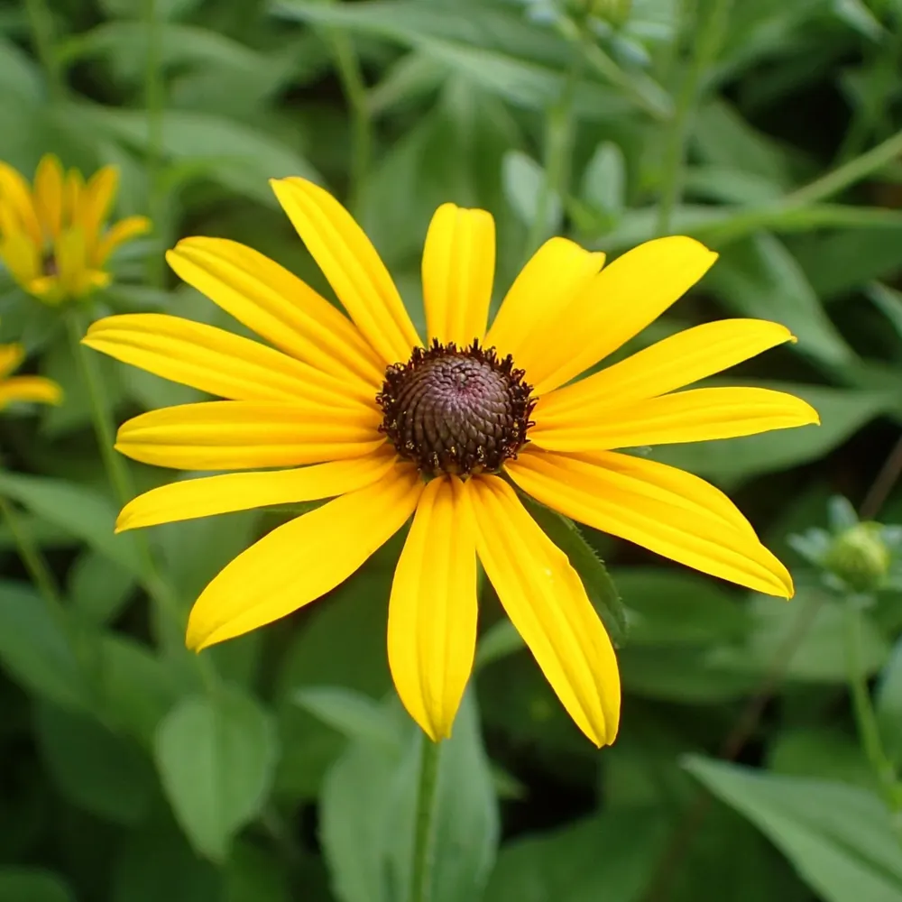 drclareharris.bsky.social's profile picture