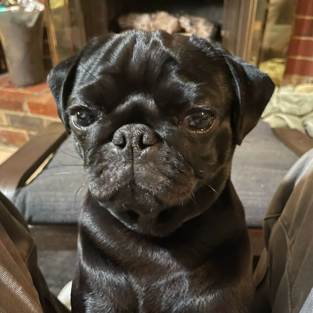 andycraig.bsky.social's profile picture