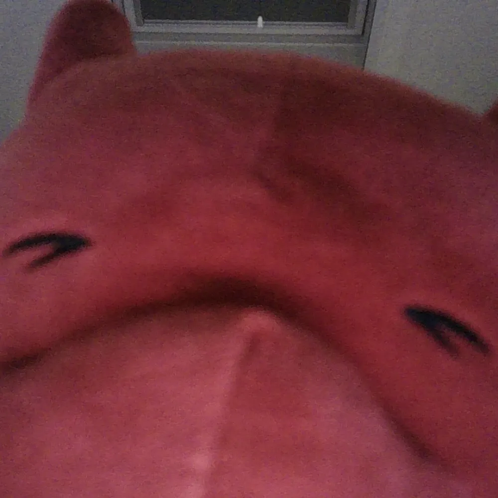 quan1000.bsky.social's profile picture