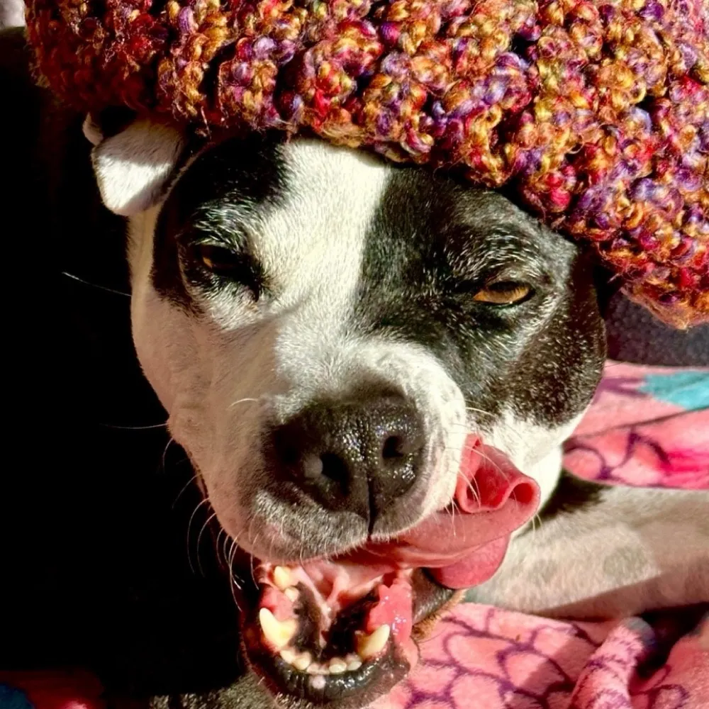 annarompage.bsky.social's profile picture