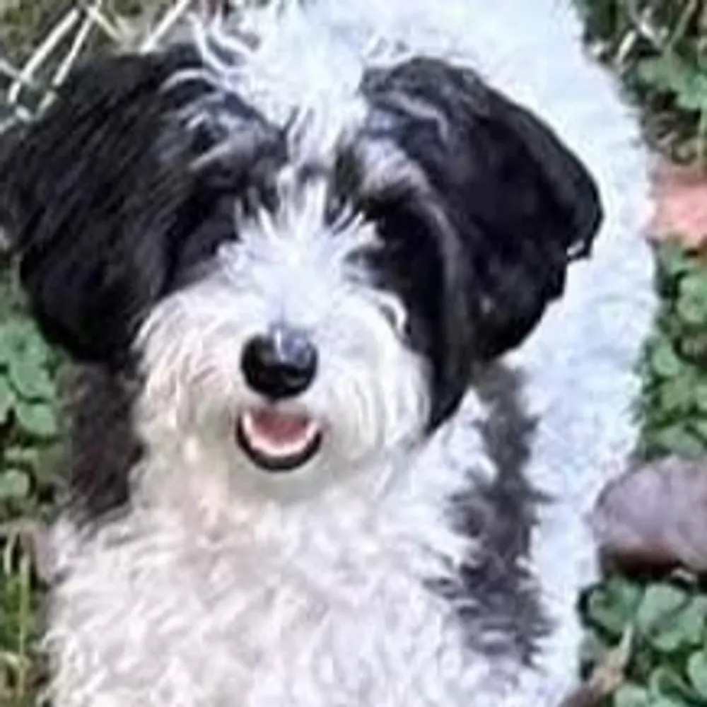 832021.bsky.social's profile picture